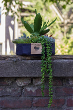Load image into Gallery viewer, Designer Line - Root Pouch - Joey-Small 5"x3"