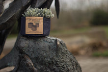 Load image into Gallery viewer, Root Pouch - Jack-Large 11"x3 W/Cat Grass and Free Soil